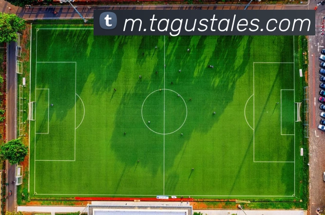 APP界面展示